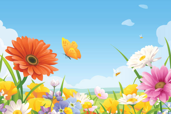 field of flowers